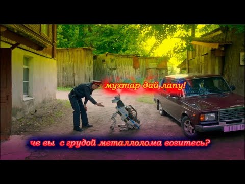 мухтар железная собака