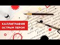 Каллиграфия острым пером: пишем буквы З и У