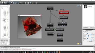 Heart Volume Racaster Using Voreen