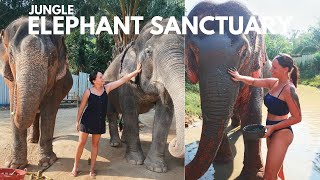 OUR EXPERIENCE AT THE ELEPHANT JUNGLE SANCTUARY IN PHUKET | Hannah Isobel