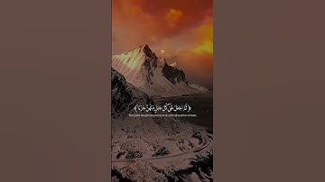 القران الكريم راحة نفسية تلاوة خاشعة حالات واتساب قران كريم تلاوات ❤️🩷