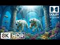 Heavenly Underwater Creatures in 8K HDR | Dolby Vision™