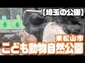 【埼玉の公園】こども動物自然公園その3 の動画、YouTube動画。