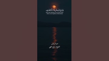 القارئ الشيخ وديع اليمني