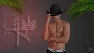 Ale Mussett Avara Visualizer