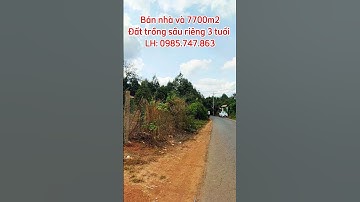 Bán vườn sầu riêng gần cao tốc #đất_đồng_nai #đất_vườn_đồng_nai #đất_long_khánh #đất_hàng_gòn #đất