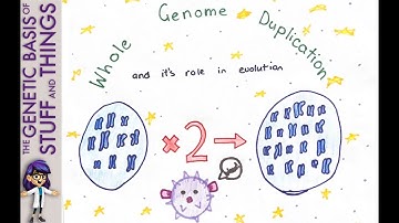 Whole genome duplication: Pufferfish and the key to understanding evolution on a larger scale