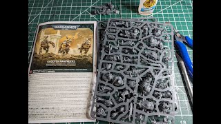 Kroot Rampagers and Orks - Work in Progress Wednesday