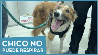 Chico no puede respirar 😮‍💨  cirugía de traquea