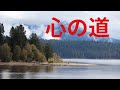 和田青児/心の道 cover  原曲 再配信