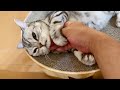 あい『離さないわよ...』