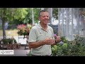 Garden Center Display Tips and Tricks - 3 of 3