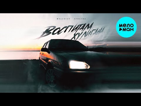 WELLVIZY, STRCTRE - Воспитала хулигана (Single 2023)