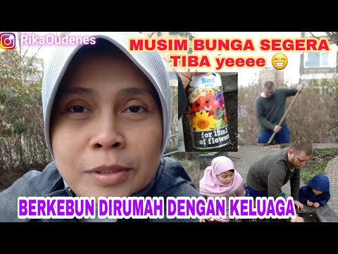 Video: Cara Menyambut Ulang Tahun Pada Musim Bunga