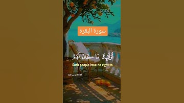 سورة البقرة #quran #دعاء #دويتو #صباحالخير #تيك_توك #دعاءمستجاب #duet #حالاتواتس #لايك #راحة_نفسية
