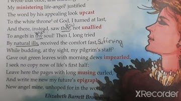 Chapter 11 Class 8  My New Canvas English At Your Fingertips coursebook