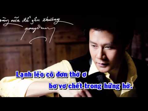 Đời Có Bao Nhiêu Ngày Vui  Karaoke   Quang Dũng