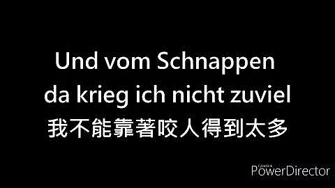 Schnappi Das Kleine Krokodil/中德字幕/中德翻譯歌詞/lyrics/學德文歌/Deutsche übersetzt ins Chinesische【牧甫德語學習檔案】