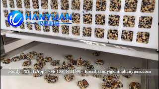 Nuts Bar Forming Machine Nuts Candy Bar Equipment Nuts Bar Production Line#nutsbar#nutsbarmachine