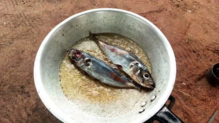 UN SDG 2022 Awards PITCH