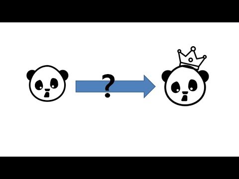 판다가 판다'킹'이 된 사연........