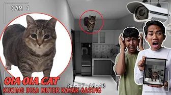 CCTV RECORDED! OIA OIA CAT, THE CAT THAT CAN PLAY GASOLINE IN SAPUTRA'S HOUSE? | Mikael TubeHD thumbnail