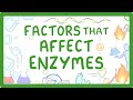 Enzyme Functionality Quiz