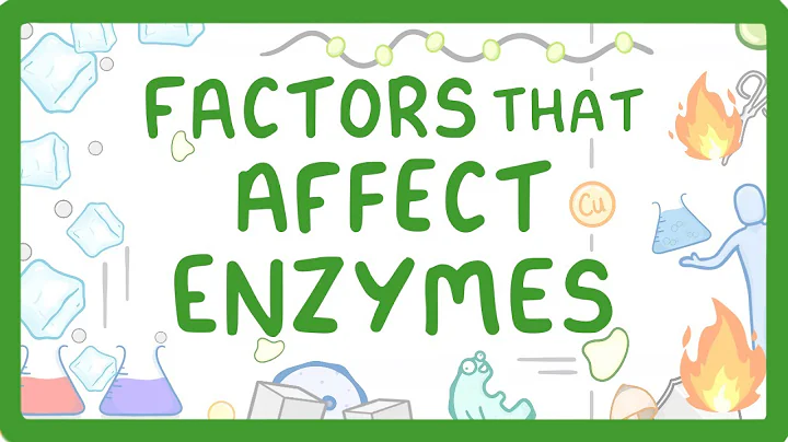 GCSE Biology - Enzymes - How Temperature and pH Affect Rate of Reaction - DayDayNews