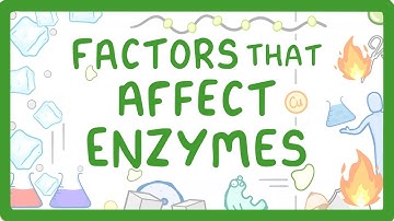 GCSE Biology - Enzymes - How Temperature and pH Affect Rate of Reaction (2026/27 exams)