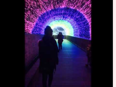 国営アルプスあづみの公園イルミネーション2014