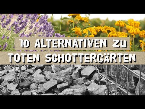 Video: Jahrbücher für den Garten – Erfahren Sie mehr über einjährige Gartenpflanzen