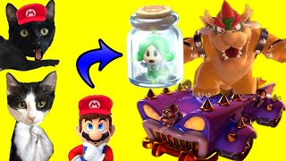Mario gato vs Bowser en coche con Luna y Estrella en SUPER MARIO 3D WORLD / Videojuego con gatitos