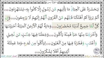 سورةُ يس (30 - 35) خليفة الطنيجي
