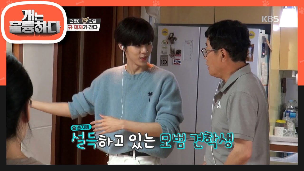 이경규를 설득하는 모범 견학생, 김우석?! [개는 훌륭하다/Dogs Are Incredible] 20200601