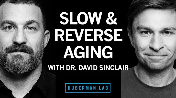 Dr. David Sinclair: The Biology of Slowing & Reversing Aging - DayDayNews