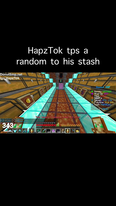 HapzTok tps a random to his stash (Donut SMP)