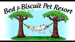 Building A Dog Kennel With Angelo From Bed & Biscuit Pet Resort