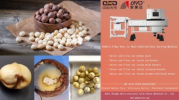 AMD Optical Sorter Machine Price for Macadamia Nuts/Makadamia Detection and Sorting