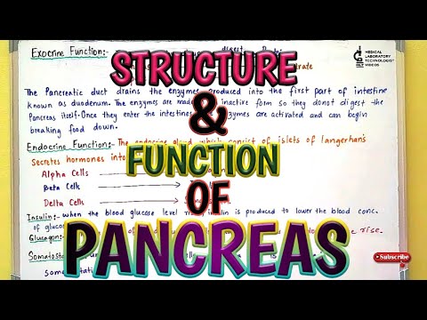 Structure & function of Pancreas.Amylase & Lipase Relationship.Insulin & Glucagon Relationship.