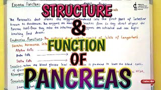 Structure & function of Pancreas.Amylase & Lipase Relationship.Insulin & Glucagon Relationship.