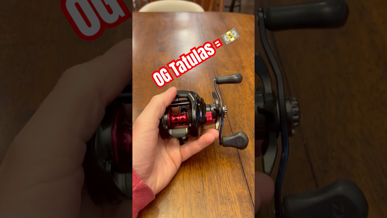 Daiwa Tatula | Еще один улов! 
