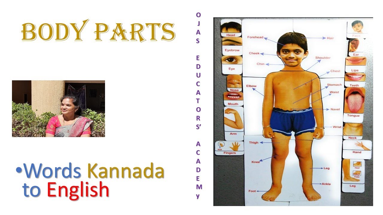Basic Vocabulary Body Parts Words Kannada to English Ganeshprasad