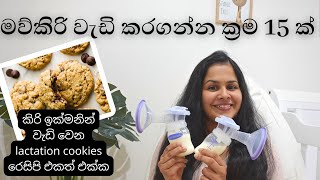 මව්කිරි වැඩි කරගන්න ක්‍රම 15 ක් | How to increase breast milk sinhala | maw kiri wadi karana krama