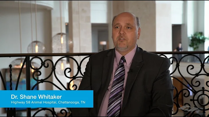 Dr. Shane Whitaker | CT scans mean better dentals ...