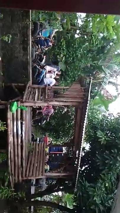 Karnaval Sound System' ADELIA AUDIO