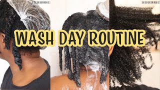 My Updated pH balanced NATURAL HAIR WASH DAY ROUTINE on 4C natural Hair
