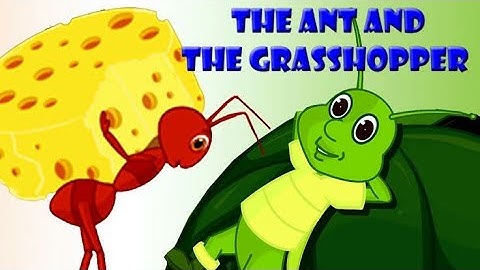 The Ants & The Grasshoppers