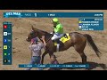 Pioneer Prince wins race 1 at Del Mar 8/15/24
