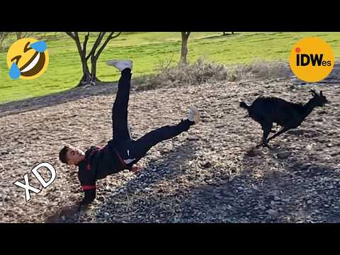 SI TE RÍES PIERDES NIVEL DIOS #450 🤣 VIDEOS DE RISA 😎HUMOR VIRAL MEXICANO🤣