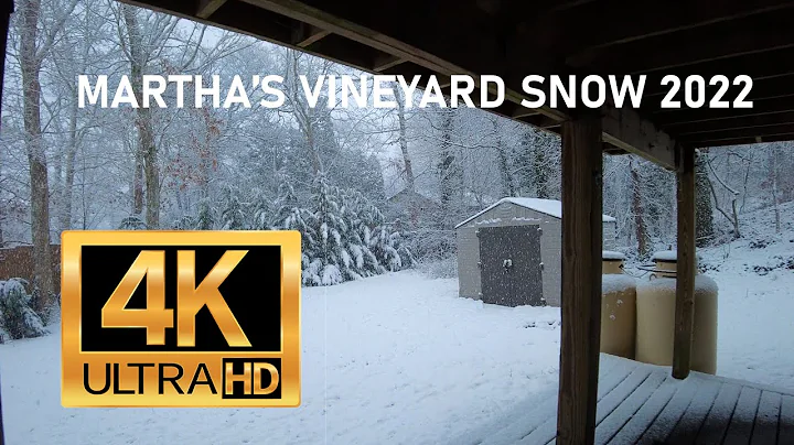 Marthas Vineyard Winter - Relaxing Snowfall Video ...